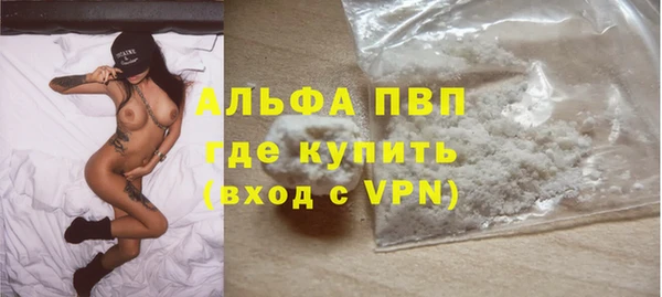 сатива Арсеньев