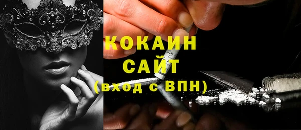 крисы Магас