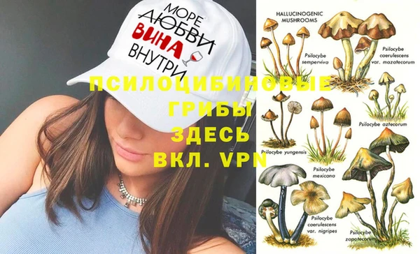 сатива Арсеньев