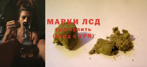 Альфа ПВП Аркадак